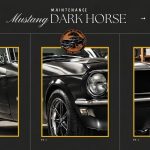 Mustang Dark Horse Maintenance Guide